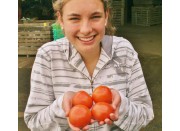 TOMATOES 500 Grams CAMBRIDGE GROWN